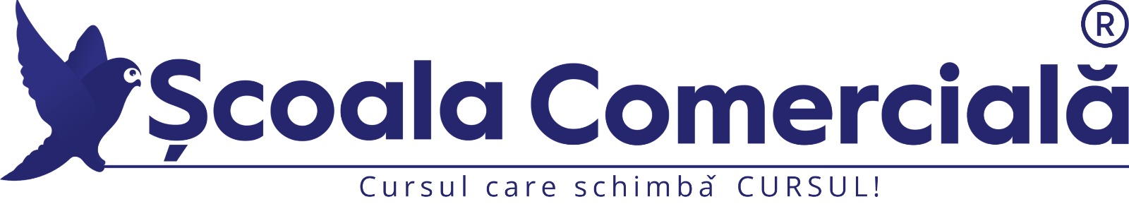FUNDATIA SCOALA COMERCIALA SI DE SERVICII BACAU